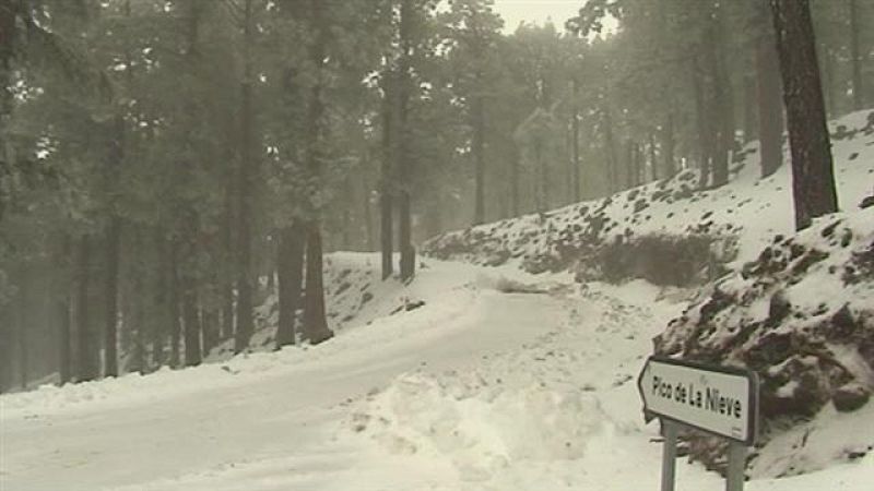 Telecanarias - 19/02/2016