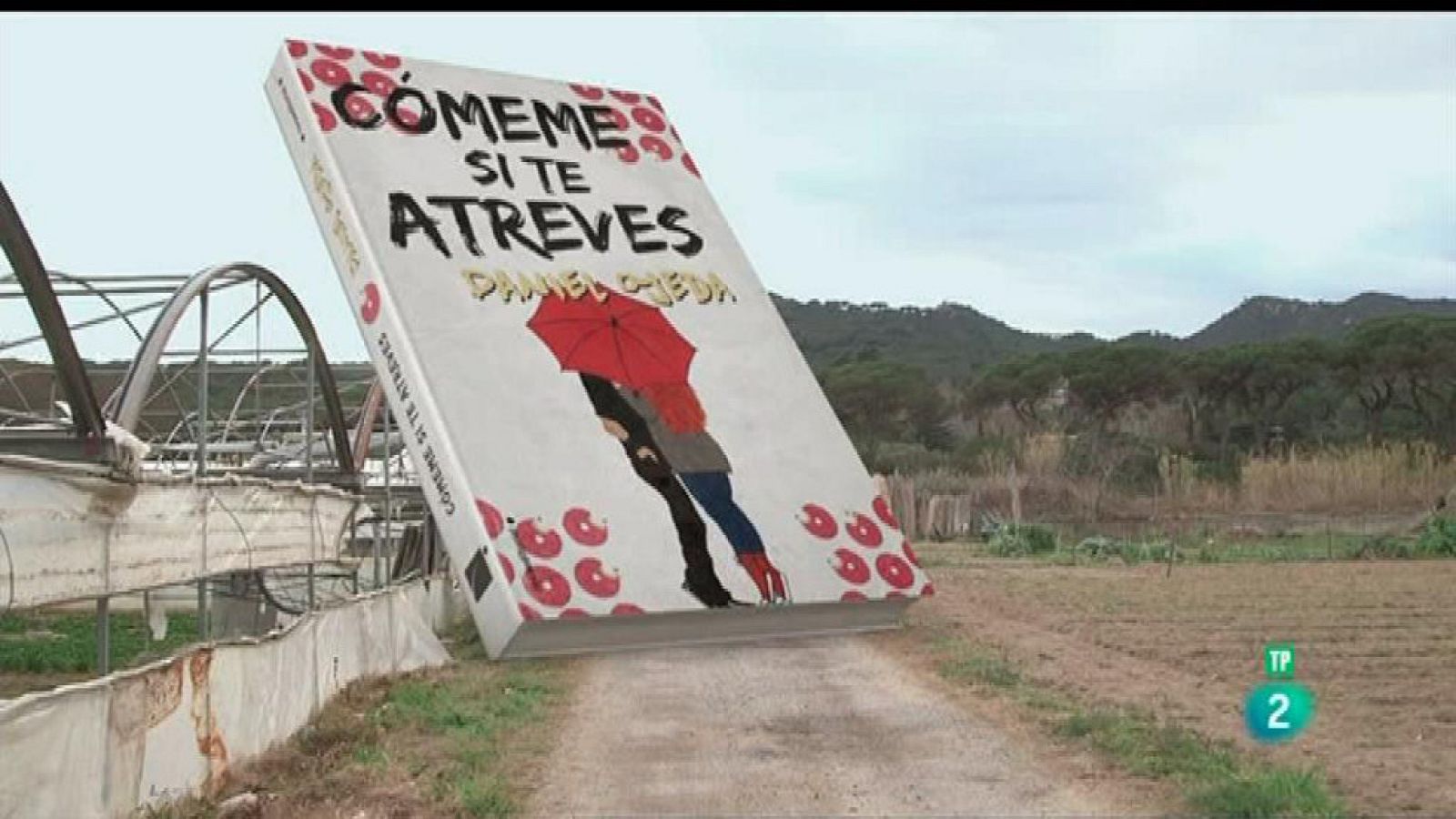 Página Dos - Las recomendaciones del programa