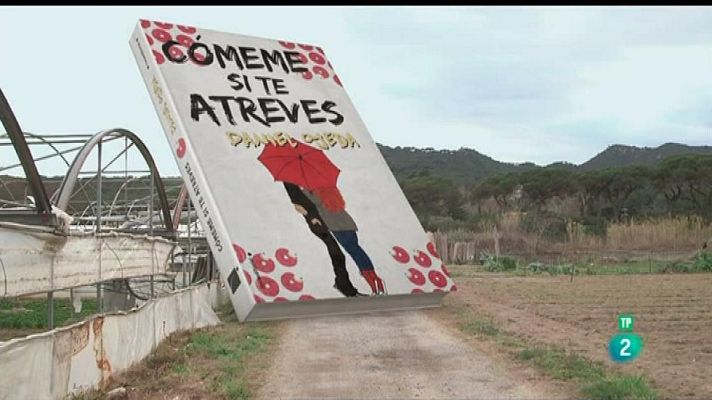 Página Dos - Las recomendaciones del programa