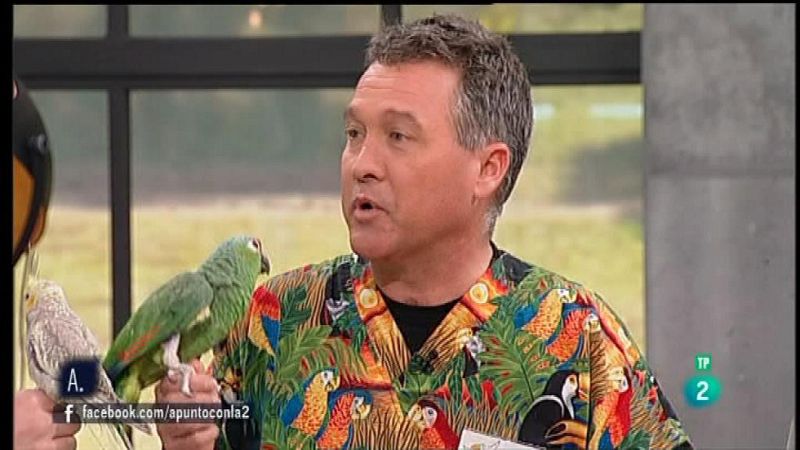 A punto con La 2 - Animales en casa - Los loros