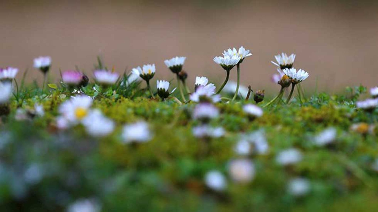 El Tiempo en la Comunidad de Madrid - 22/02/16