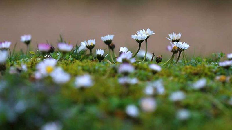 El Tiempo en la Comunidad de Madrid - 22/02/16