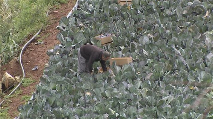 Telecanarias - Canarias en 2' - 23/02/2016
