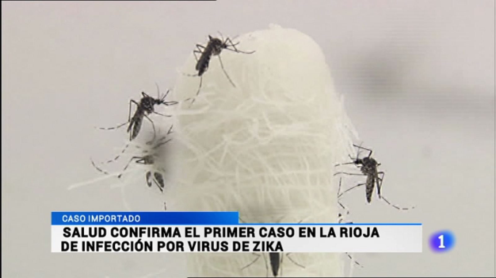 Telerioja en 2' - 23/02/16