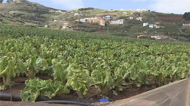 Telecanarias - 23/02/2016