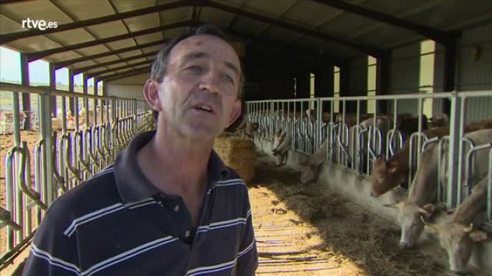 Crónicas - José Luis Escabosa