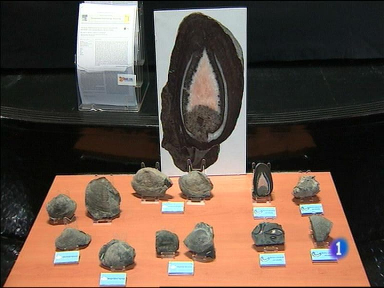 Panorama Regional - 25/02/16 | Ver