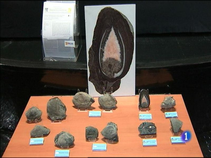 Panorama Regional - 25/02/16 | Ver