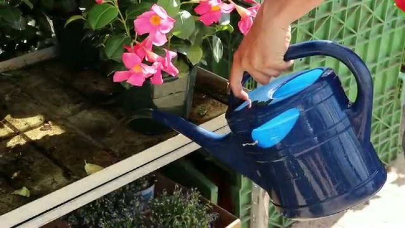 Tr�iler del documental Lost Generation