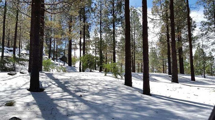 Informativo de Madrid - Informativo de Madrid - 26/02/16