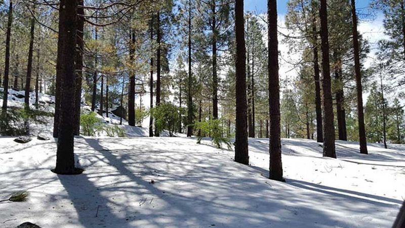 Informativo de Madrid - 26/02/16