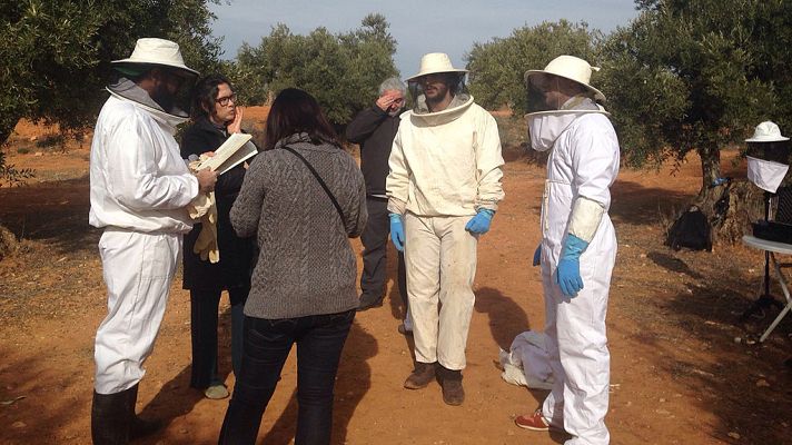 Telediario 1 - RTVE y otros medios españoles colaboran para crear noticias con tecnología 360