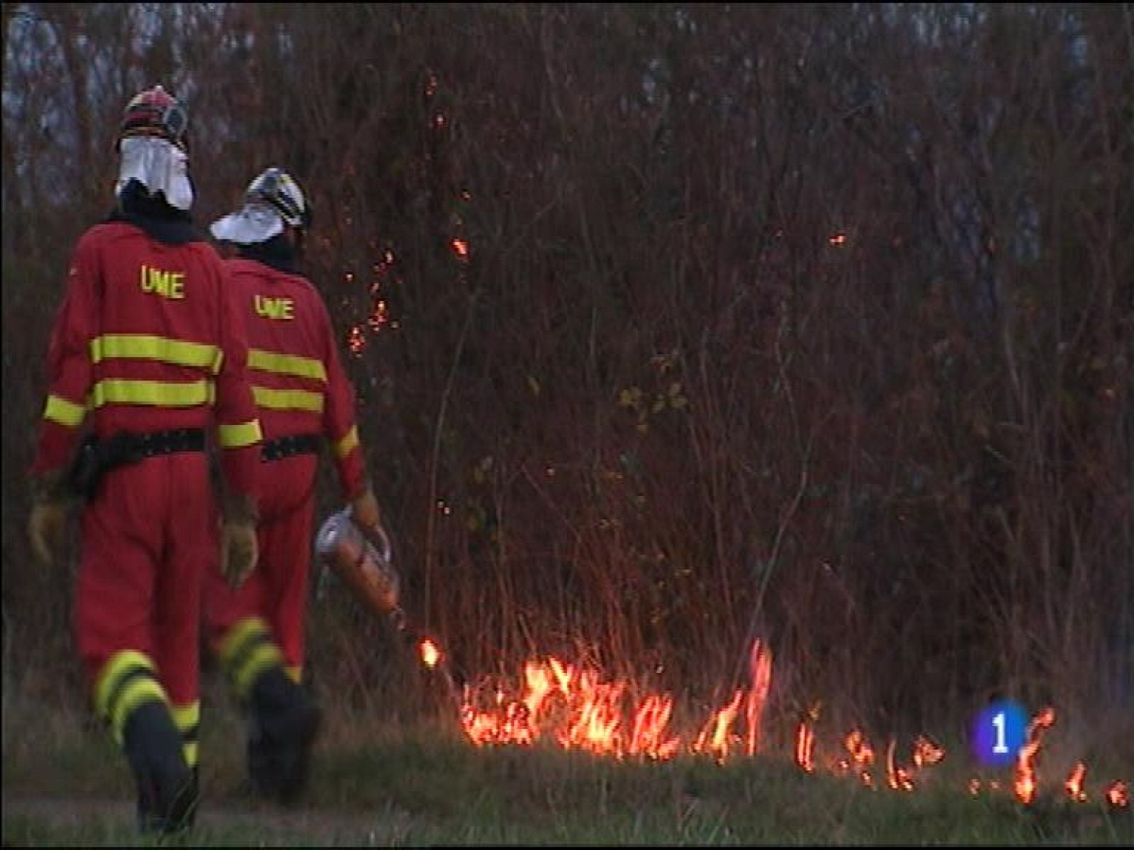 Panorama Regional 2 - 26/02/16 | Ver