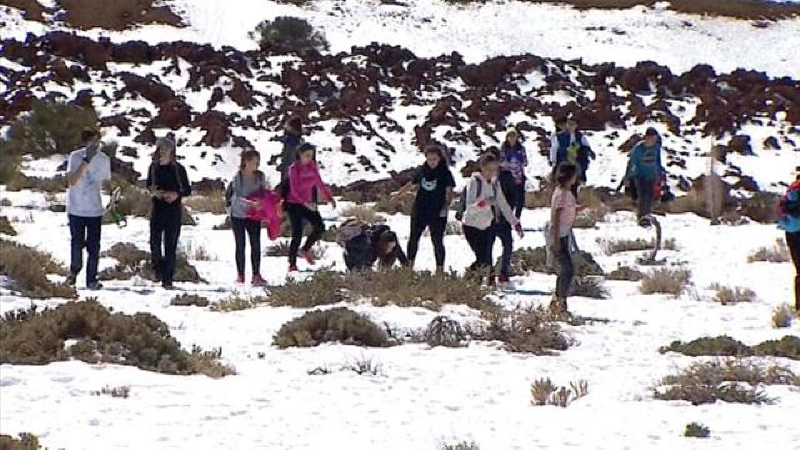 Telecanarias - 26/02/2016