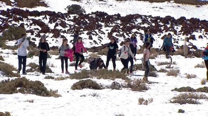 Telecanarias - Telecanarias - 26/02/2016