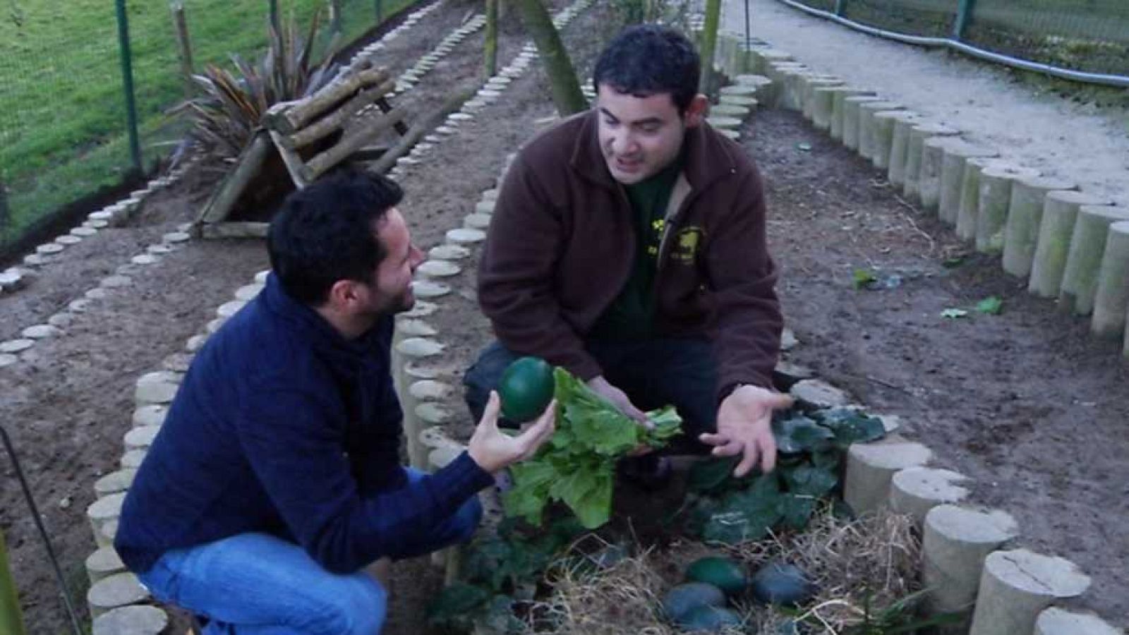 Aquí la Tierra - 26/02/16 - ver ahora