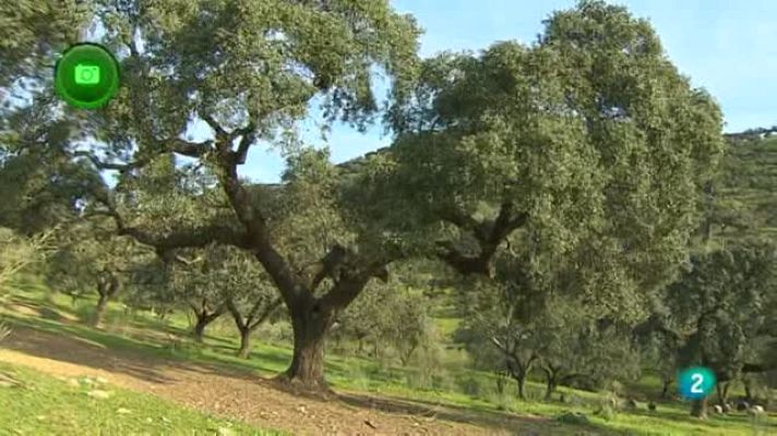 Agrosfera - Monesterio (Badajoz)