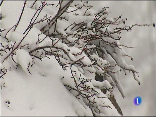Panorama Regional - El tiempo en Asturias - 29/02/16