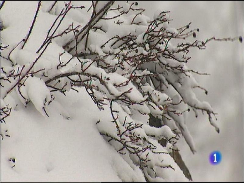 El tiempo en Asturias - 29/02/16 | Ver