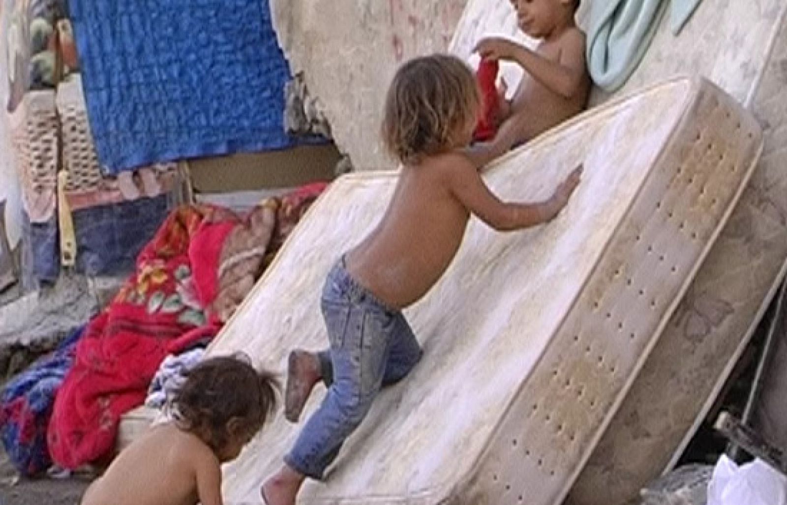 Repor - Salir del Gallinero - Repor | Ver