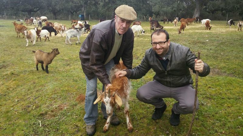 Aquí la tierra - Cabras fuera de lo común