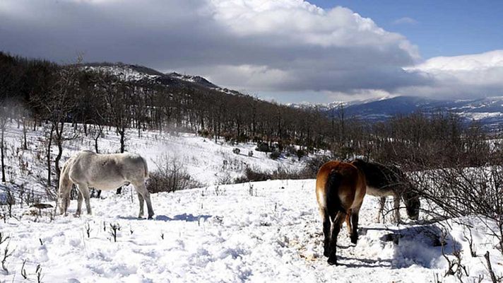 Informativo de Madrid - El Tiempo en la Comunidad de Madrid - 01/03/16