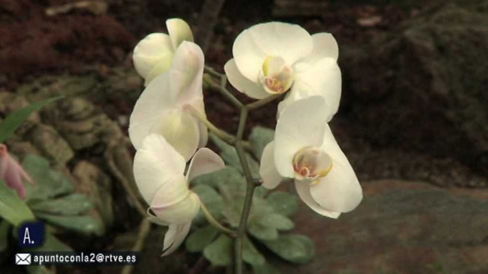 A punto con La 2 - 01/03/16 - Ver ahora