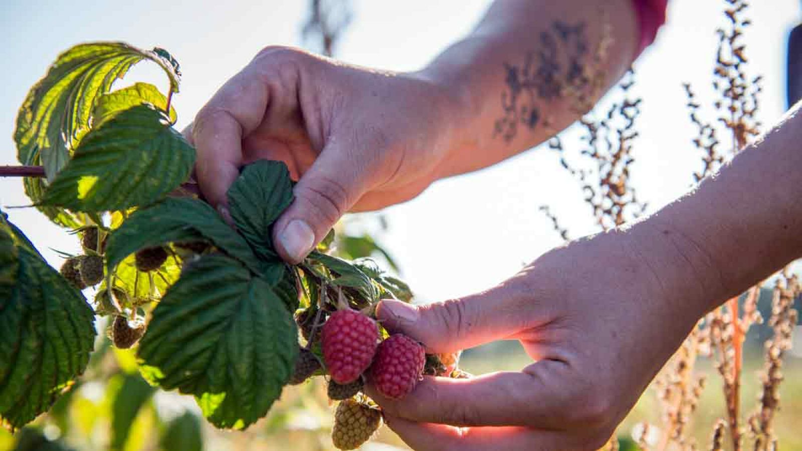 Red Natura 2000 - Los protagonistas de la gestión de los espacios naturales