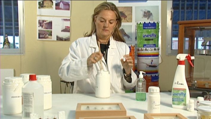 Fábrica de ideas - Programa 6