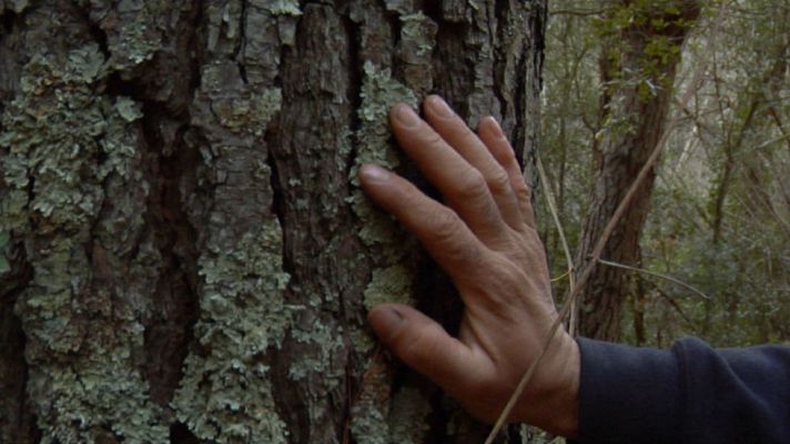 Aquí la Tierra - Gestores del bosque