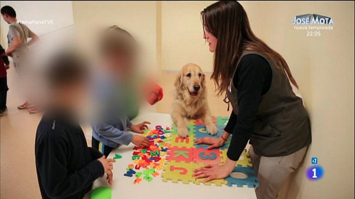La mañana - Perroterapia para niños con déficit de atención