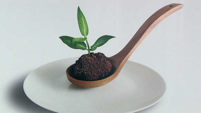 Testimonio - El hambre, vergüenza de la humanidad - ver ahora