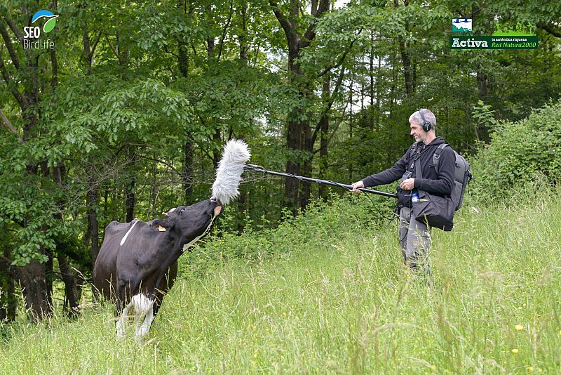 Red Natura 2000 - Belate