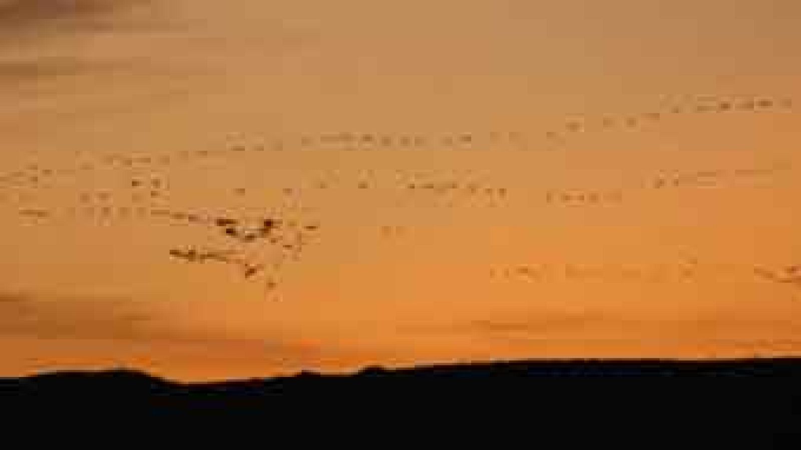 Red Natura 2000 - Laguna Gallocanta
