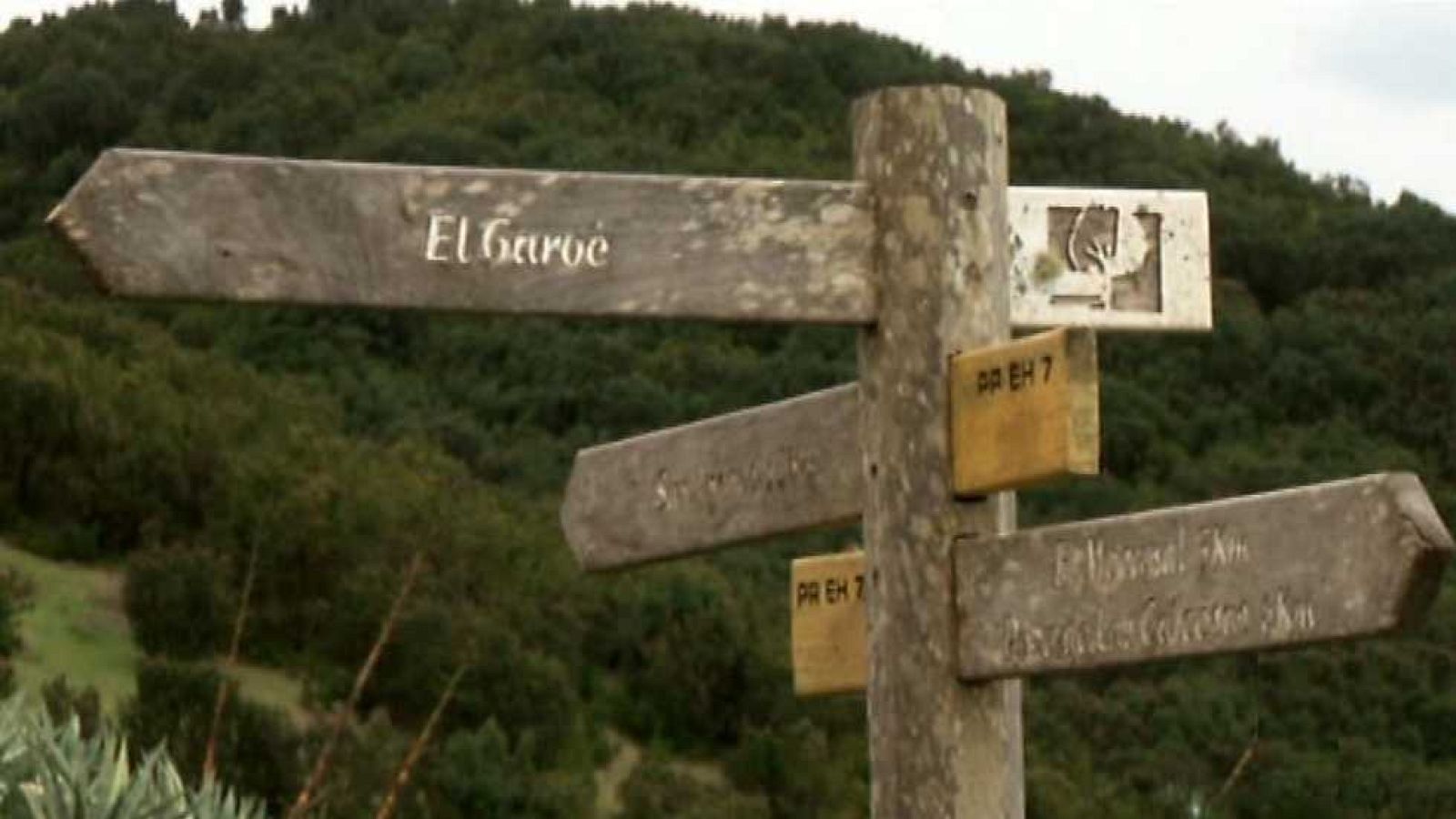 La aventura del saber - 07/03/16 - Ver ahora