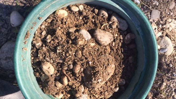 España Directo - Vuelve la fiebre del oro