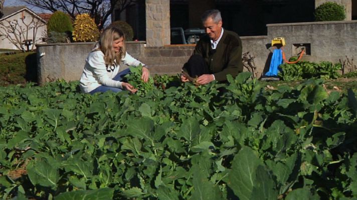 Aquí la Tierra - Nabos negros, variedad de montaña