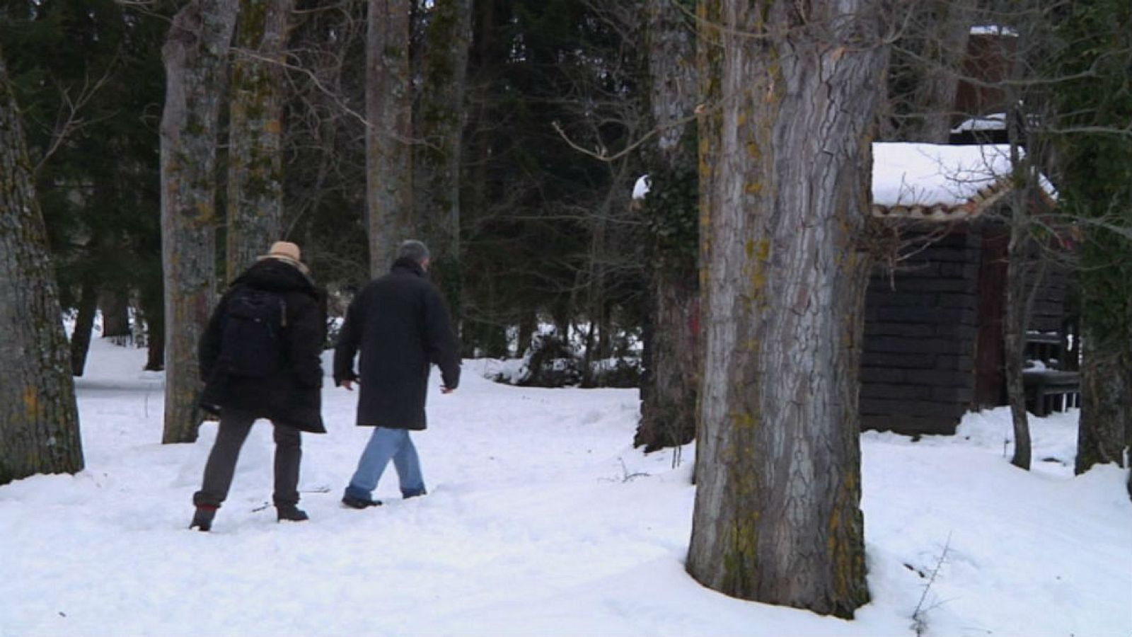 Juan Plantas, tras la huella del invierno