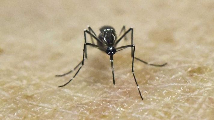 España en 24h - España en 24 horas - 08/03/16