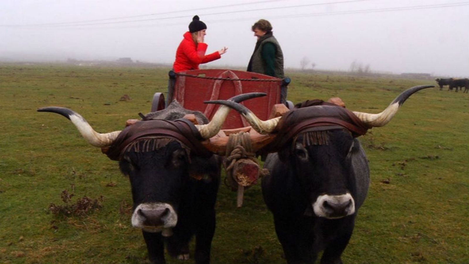 Angelines, una carretera por devoción