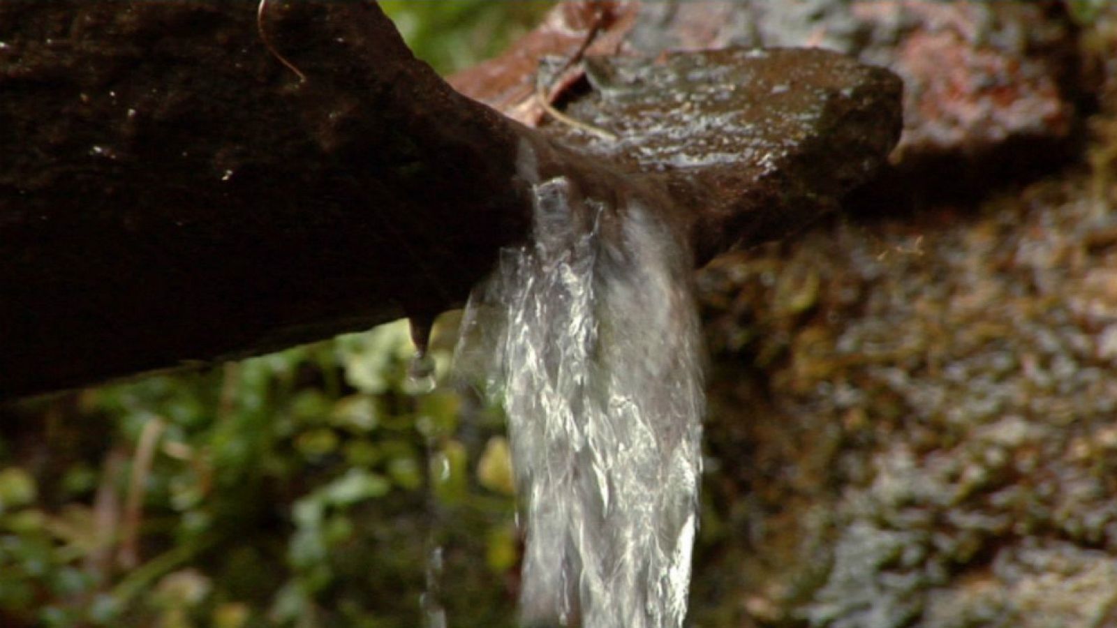 Visitamos una farmacia, de agua
