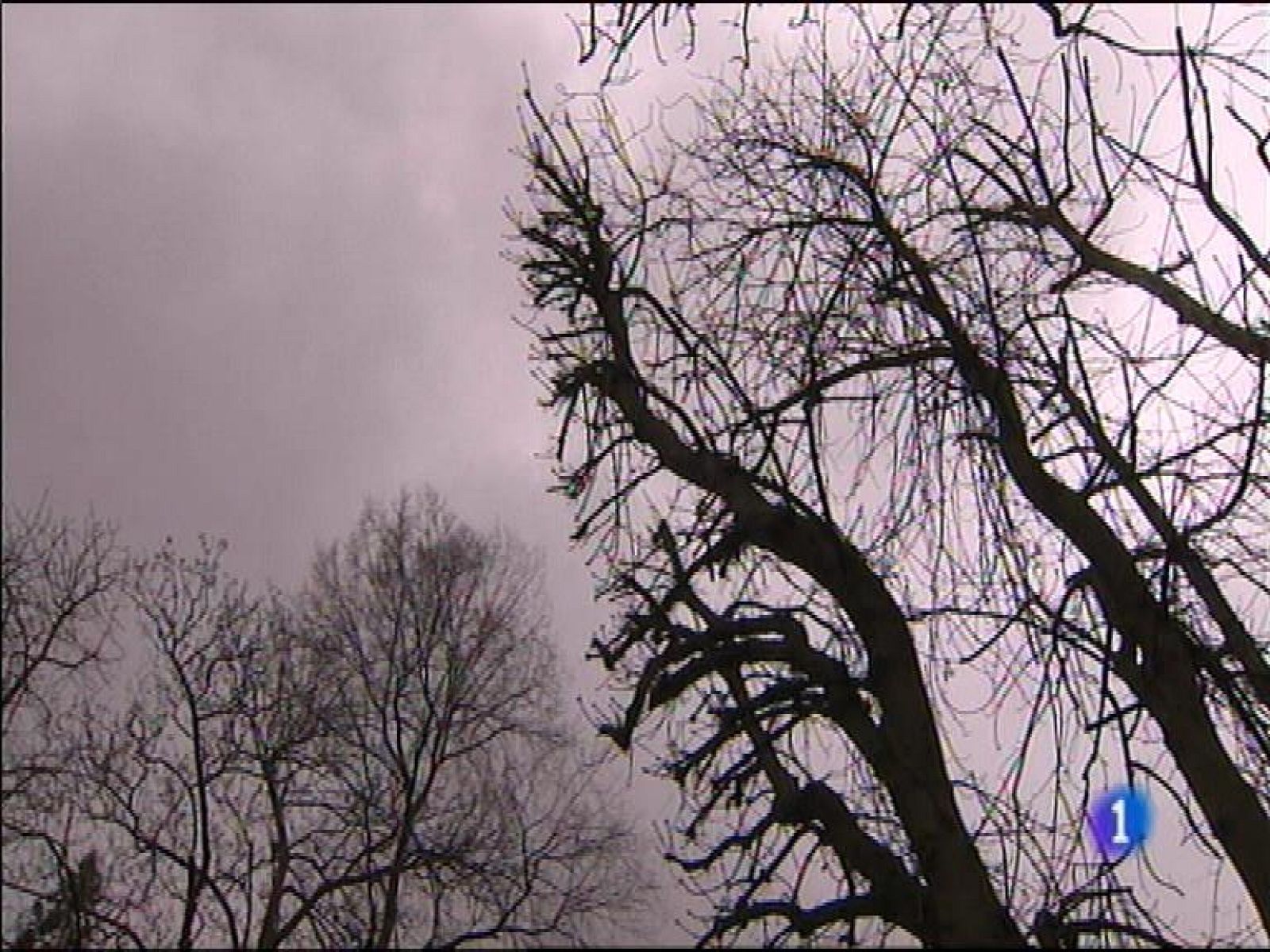 El tiempo en Asturias - 10/03/16 | Ver