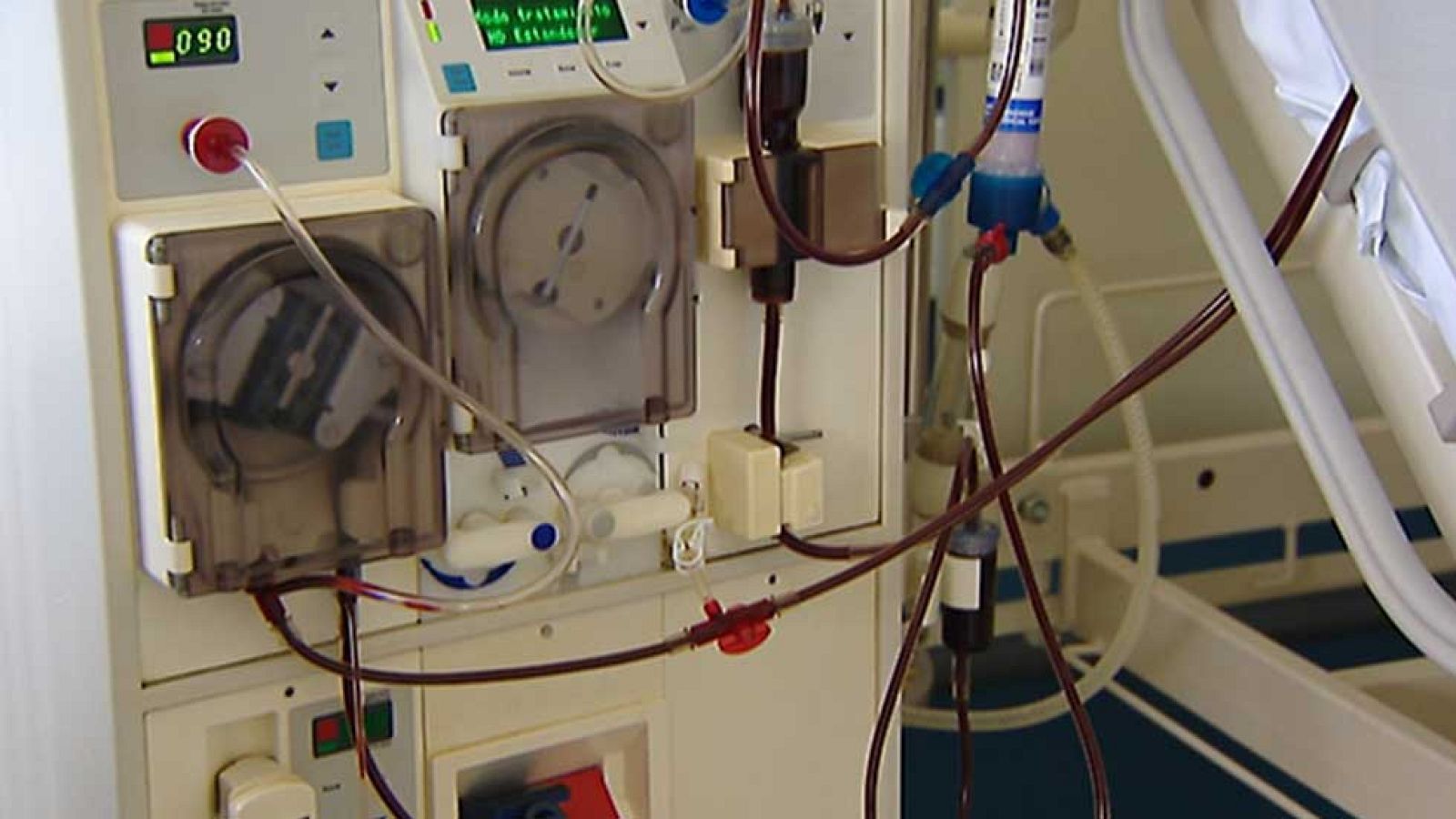 Día mundial del Riñón