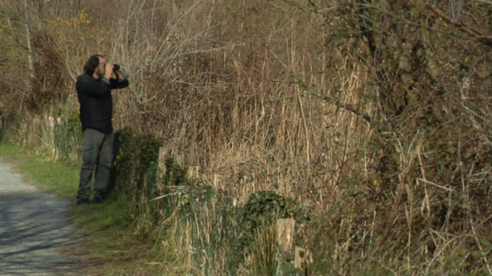 El camino del coipú