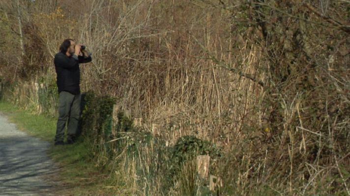 Aquí la Tierra - El camino del coipú