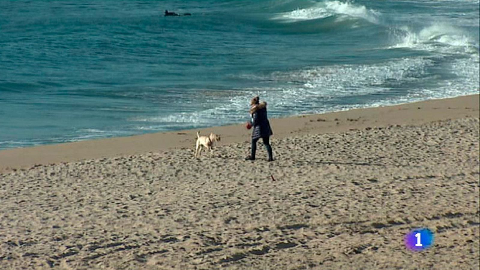 L'Informatiu 2 - 11/03/2016