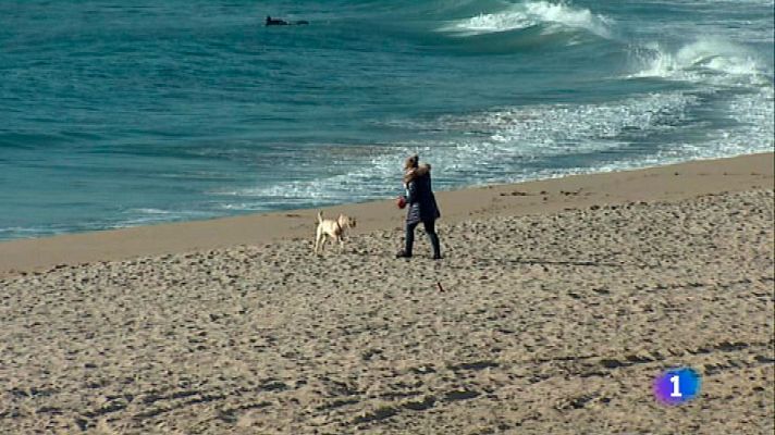 L'Informatiu - L'Informatiu 2 - 11/03/2016