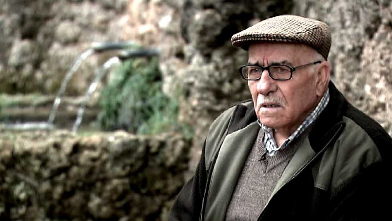 Escarabajo verde - Escrito con agua - Ver ahora