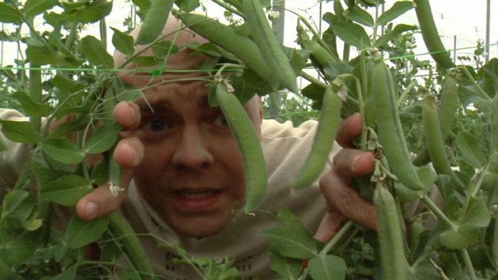 Aquí la Tierra - Nos perdemos entre pésoles