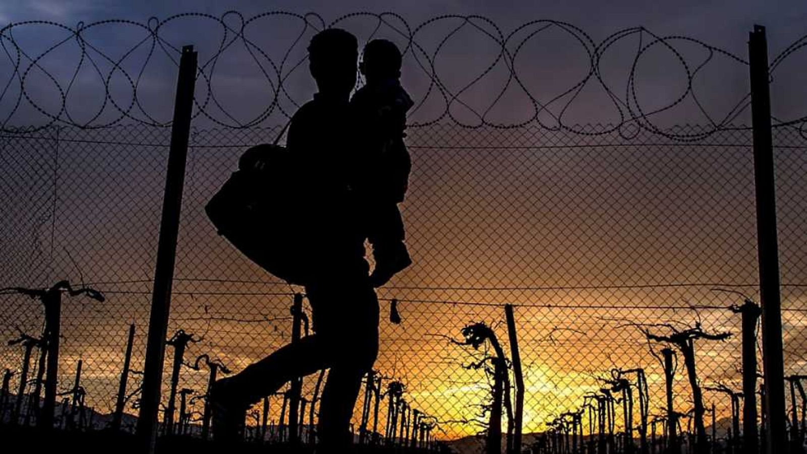 El mundo en 24 horas - 12/03/16 - ver ahora